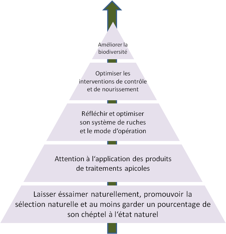 Récommandations pour apiculteurs